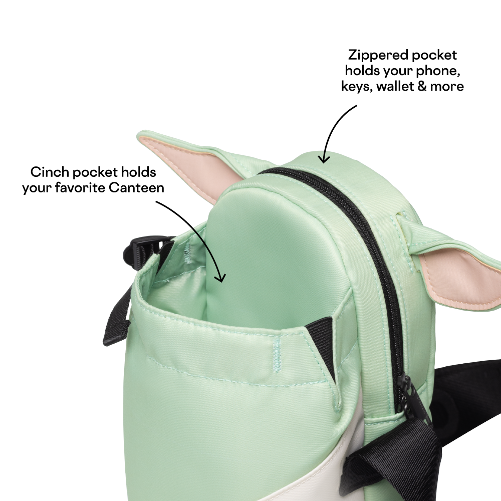 disney-sling-i1 53593b3e49e2--Sling-PDP-4.png