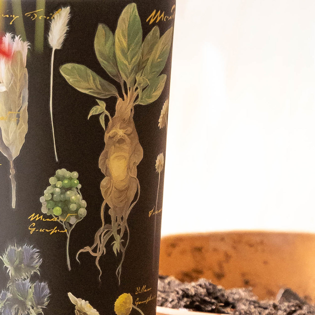 harry-potter-cold-cup-z5 Herbology-3.jpg